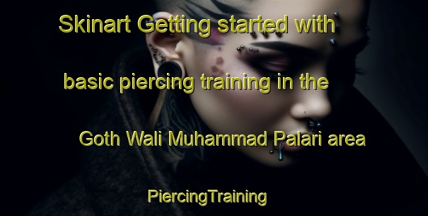 Skinart Getting started with basic piercing training in the Goth Wali Muhammad Palari area | PiercingTraining | PiercingClasses | SkinartTraining-Pakistan