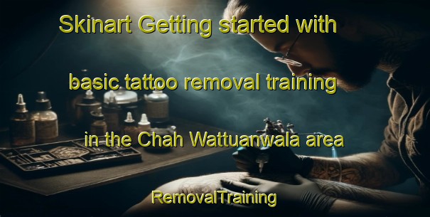 Skinart Getting started with basic tattoo removal training in the Chah Wattuanwala area | RemovalTraining | RemovalClasses | SkinartTraining-Pakistan