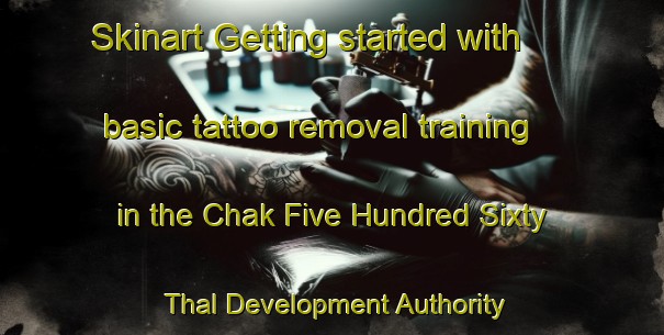 Skinart Getting started with basic tattoo removal training in the Chak Five Hundred Sixty Thal Development Authority area | RemovalTraining | RemovalClasses | SkinartTraining-Pakistan