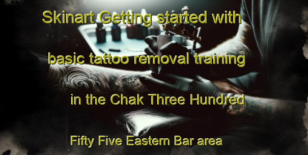 Skinart Getting started with basic tattoo removal training in the Chak Three Hundred Fifty Five Eastern Bar area | RemovalTraining | RemovalClasses | SkinartTraining-Pakistan