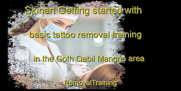 Skinart Getting started with basic tattoo removal training in the Goth Qabil Mangrio area | RemovalTraining | RemovalClasses | SkinartTraining-Pakistan