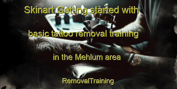 Skinart Getting started with basic tattoo removal training in the Mehlum area | RemovalTraining | RemovalClasses | SkinartTraining-Pakistan