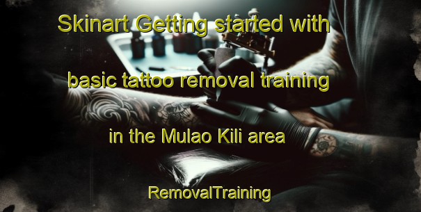 Skinart Getting started with basic tattoo removal training in the Mulao Kili area | RemovalTraining | RemovalClasses | SkinartTraining-Pakistan