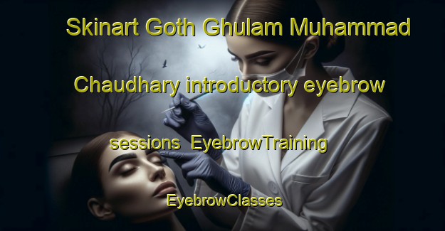 Skinart Goth Ghulam Muhammad Chaudhary introductory eyebrow sessions | EyebrowTraining | EyebrowClasses | SkinartTraining-Pakistan