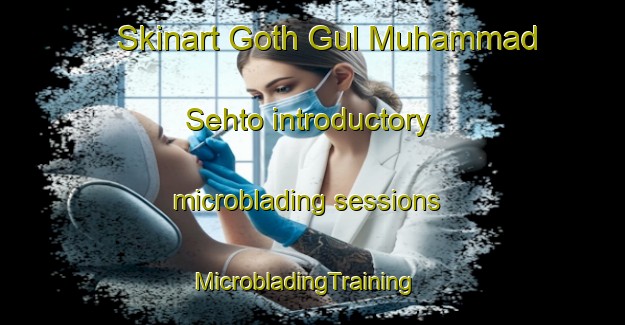 Skinart Goth Gul Muhammad Sehto introductory microblading sessions | MicrobladingTraining | MicrobladingClasses | SkinartTraining-Pakistan