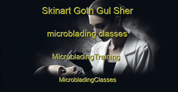 Skinart Goth Gul Sher microblading classes | MicrobladingTraining | MicrobladingClasses | SkinartTraining-Pakistan