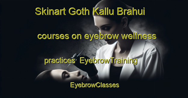 Skinart Goth Kallu Brahui courses on eyebrow wellness practices | EyebrowTraining | EyebrowClasses | SkinartTraining-Pakistan