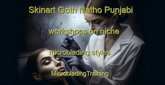 Skinart Goth Natho Punjabi workshops on niche microblading styles | MicrobladingTraining | MicrobladingClasses | SkinartTraining-Pakistan