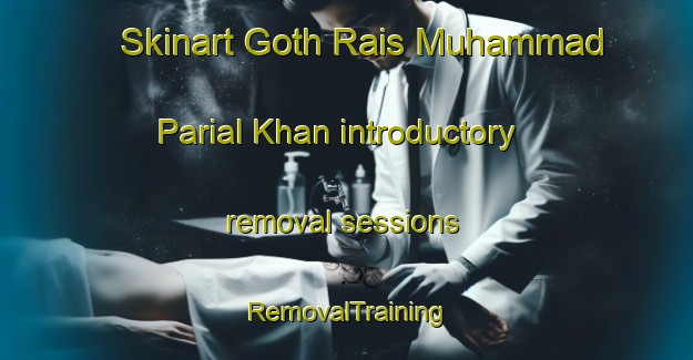 Skinart Goth Rais Muhammad Parial Khan introductory removal sessions | RemovalTraining | RemovalClasses | SkinartTraining-Pakistan