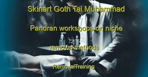 Skinart Goth Tai Muhammad Pandran workshops on niche removal methods | RemovalTraining | RemovalClasses | SkinartTraining-Pakistan