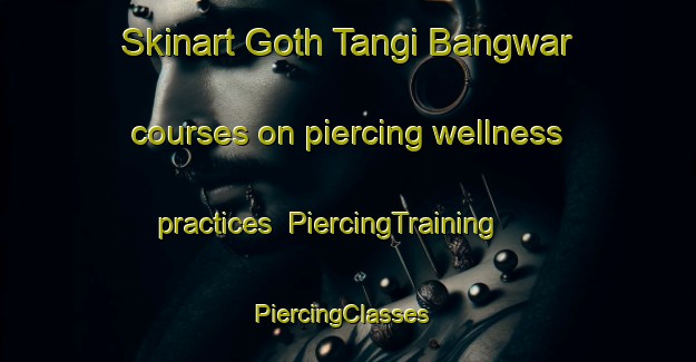 Skinart Goth Tangi Bangwar courses on piercing wellness practices | PiercingTraining | PiercingClasses | SkinartTraining-Pakistan