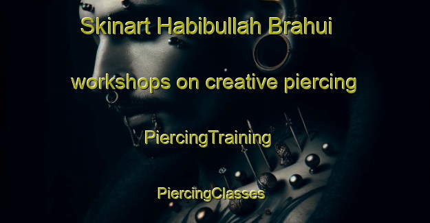 Skinart Habibullah Brahui workshops on creative piercing | PiercingTraining | PiercingClasses | SkinartTraining-Pakistan
