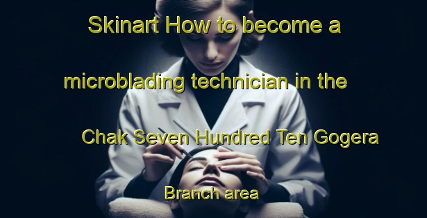 Skinart How to become a microblading technician in the Chak Seven Hundred Ten Gogera Branch area | MicrobladingTraining | MicrobladingClasses | SkinartTraining-Pakistan