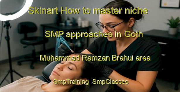 Skinart How to master niche SMP approaches in Goth Muhammad Ramzan Brahui area | SmpTraining | SmpClasses | SkinartTraining-Pakistan