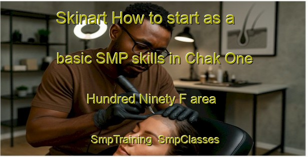 Skinart How to start as a basic SMP skills in Chak One Hundred Ninety F area | SmpTraining | SmpClasses | SkinartTraining-Pakistan