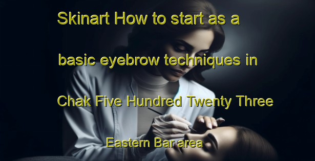 Skinart How to start as a basic eyebrow techniques in Chak Five Hundred Twenty Three Eastern Bar area | EyebrowTraining | EyebrowClasses | SkinartTraining-Pakistan