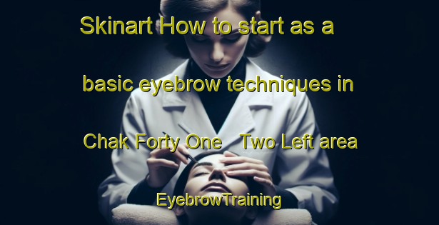 Skinart How to start as a basic eyebrow techniques in Chak Forty One   Two Left area | EyebrowTraining | EyebrowClasses | SkinartTraining-Pakistan