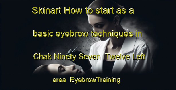 Skinart How to start as a basic eyebrow techniques in Chak Ninety Seven  Twelve Left area | EyebrowTraining | EyebrowClasses | SkinartTraining-Pakistan