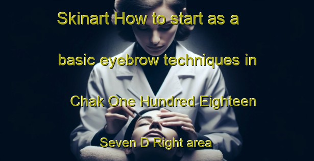 Skinart How to start as a basic eyebrow techniques in Chak One Hundred Eighteen  Seven D Right area | EyebrowTraining | EyebrowClasses | SkinartTraining-Pakistan
