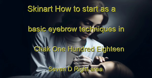 Skinart How to start as a basic eyebrow techniques in Chak One Hundred Eighteen  Seven D Right area | EyebrowTraining | EyebrowClasses | SkinartTraining-Pakistan