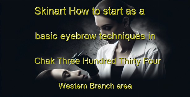 Skinart How to start as a basic eyebrow techniques in Chak Three Hundred Thirty Four Western Branch area | EyebrowTraining | EyebrowClasses | SkinartTraining-Pakistan