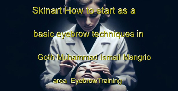 Skinart How to start as a basic eyebrow techniques in Goth Muhammad Ismail Mangrio area | EyebrowTraining | EyebrowClasses | SkinartTraining-Pakistan