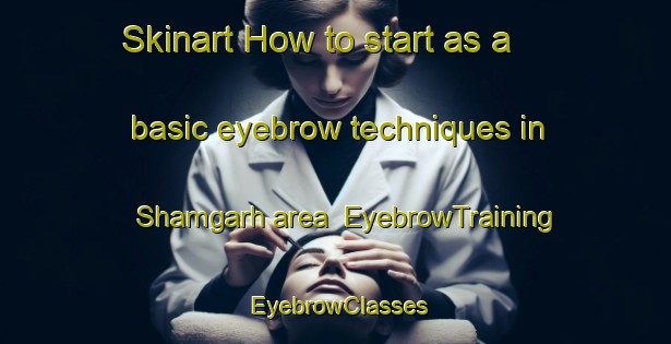 Skinart How to start as a basic eyebrow techniques in Shamgarh area | EyebrowTraining | EyebrowClasses | SkinartTraining-Pakistan