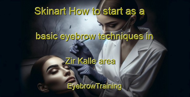 Skinart How to start as a basic eyebrow techniques in Zir Kalle area | EyebrowTraining | EyebrowClasses | SkinartTraining-Pakistan