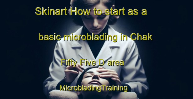 Skinart How to start as a basic microblading in Chak Fifty Five D area | MicrobladingTraining | MicrobladingClasses | SkinartTraining-Pakistan
