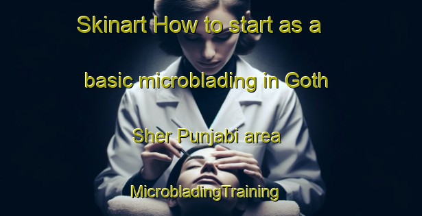 Skinart How to start as a basic microblading in Goth Sher Punjabi area | MicrobladingTraining | MicrobladingClasses | SkinartTraining-Pakistan