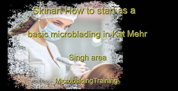 Skinart How to start as a basic microblading in Kat Mehr Singh area | MicrobladingTraining | MicrobladingClasses | SkinartTraining-Pakistan