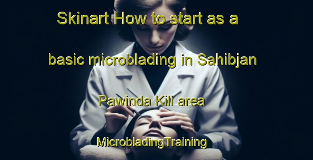 Skinart How to start as a basic microblading in Sahibjan Pawinda Kili area | MicrobladingTraining | MicrobladingClasses | SkinartTraining-Pakistan