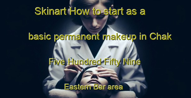 Skinart How to start as a basic permanent makeup in Chak Five Hundred Fifty Nine Eastern Bar area | PermanentmakeupTraining | PermanentmakeupClasses | SkinartTraining-Pakistan