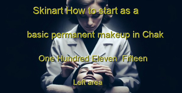 Skinart How to start as a basic permanent makeup in Chak One Hundred Eleven  Fifteen Left area | PermanentmakeupTraining | PermanentmakeupClasses | SkinartTraining-Pakistan