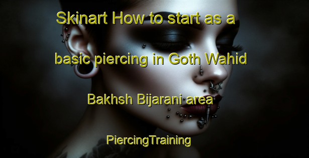 Skinart How to start as a basic piercing in Goth Wahid Bakhsh Bijarani area | PiercingTraining | PiercingClasses | SkinartTraining-Pakistan