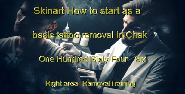 Skinart How to start as a basic tattoo removal in Chak One Hundred Sixty Four   Six Right area | RemovalTraining | RemovalClasses | SkinartTraining-Pakistan