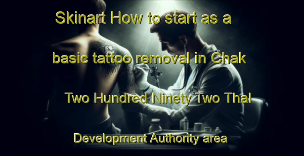 Skinart How to start as a basic tattoo removal in Chak Two Hundred Ninety Two Thal Development Authority area | RemovalTraining | RemovalClasses | SkinartTraining-Pakistan