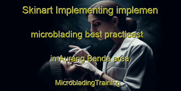 Skinart Implementing implemen microblading best practicest in Aurang Banda area | MicrobladingTraining | MicrobladingClasses | SkinartTraining-Pakistan