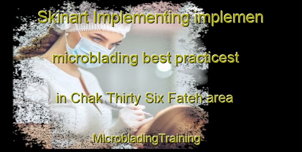 Skinart Implementing implemen microblading best practicest in Chak Thirty Six Fateh area | MicrobladingTraining | MicrobladingClasses | SkinartTraining-Pakistan