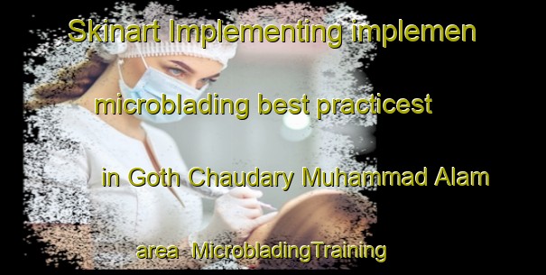 Skinart Implementing implemen microblading best practicest in Goth Chaudary Muhammad Alam area | MicrobladingTraining | MicrobladingClasses | SkinartTraining-Pakistan