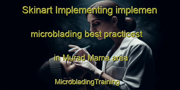 Skinart Implementing implemen microblading best practicest in Murad Mama area | MicrobladingTraining | MicrobladingClasses | SkinartTraining-Pakistan