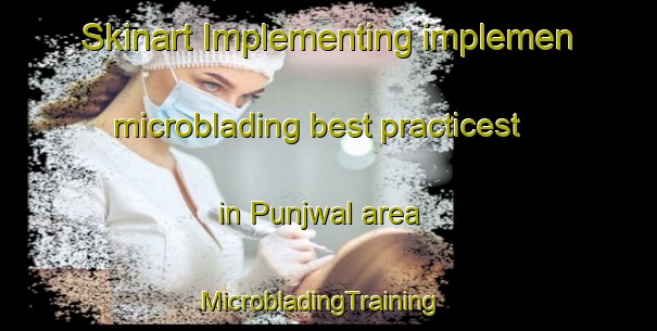 Skinart Implementing implemen microblading best practicest in Punjwal area | MicrobladingTraining | MicrobladingClasses | SkinartTraining-Pakistan