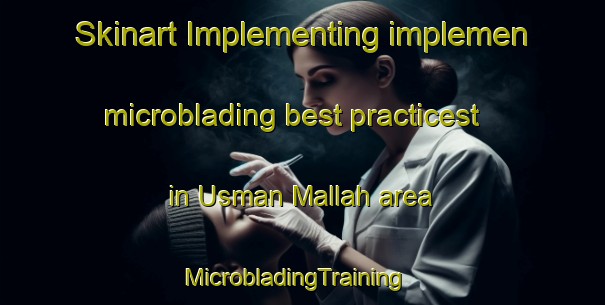 Skinart Implementing implemen microblading best practicest in Usman Mallah area | MicrobladingTraining | MicrobladingClasses | SkinartTraining-Pakistan