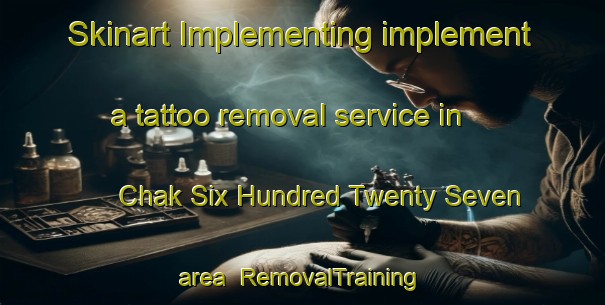 Skinart Implementing implement a tattoo removal service in Chak Six Hundred Twenty Seven area | RemovalTraining | RemovalClasses | SkinartTraining-Pakistan