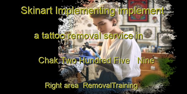 Skinart Implementing implement a tattoo removal service in Chak Two Hundred Five   Nine Right area | RemovalTraining | RemovalClasses | SkinartTraining-Pakistan