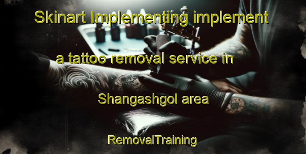 Skinart Implementing implement a tattoo removal service in Shangashgol area | RemovalTraining | RemovalClasses | SkinartTraining-Pakistan