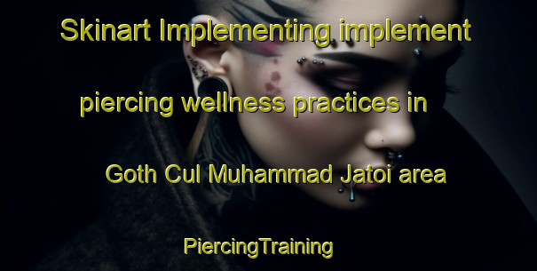 Skinart Implementing implement piercing wellness practices in Goth Cul Muhammad Jatoi area | PiercingTraining | PiercingClasses | SkinartTraining-Pakistan