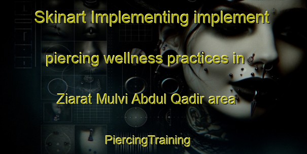 Skinart Implementing implement piercing wellness practices in Ziarat Mulvi Abdul Qadir area | PiercingTraining | PiercingClasses | SkinartTraining-Pakistan