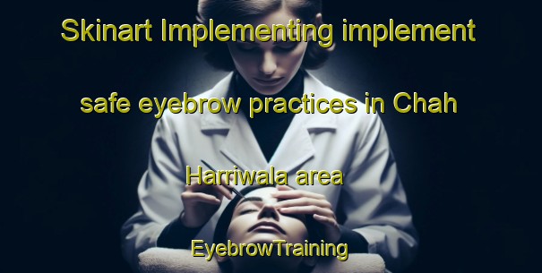Skinart Implementing implement safe eyebrow practices in Chah Harriwala area | EyebrowTraining | EyebrowClasses | SkinartTraining-Pakistan