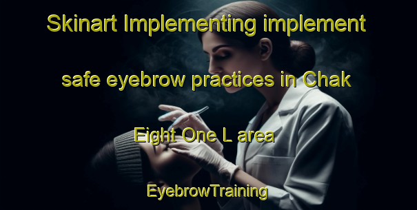 Skinart Implementing implement safe eyebrow practices in Chak Eight One L area | EyebrowTraining | EyebrowClasses | SkinartTraining-Pakistan
